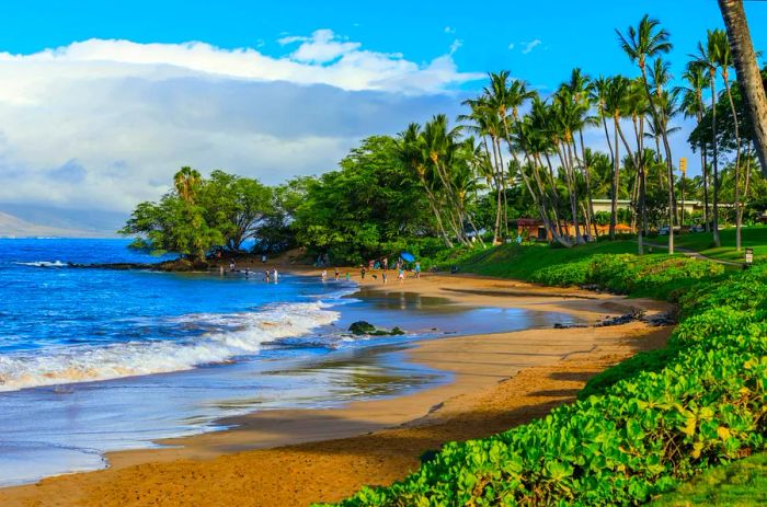 People stroll along a palm-lined beach.