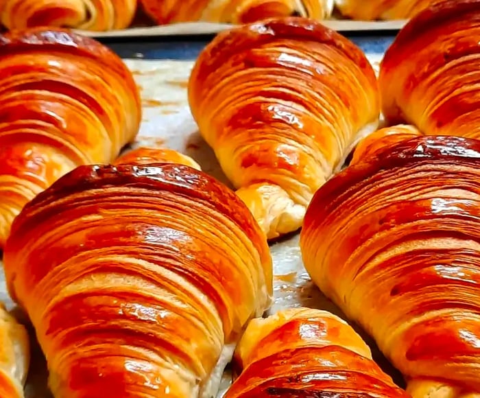 A row of freshly baked croissants on sheets ready for the oven.