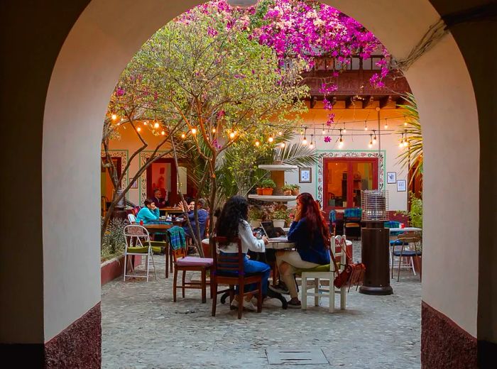 Diners enjoying their time in a courtyard adorned with string lights and vibrant flowers.