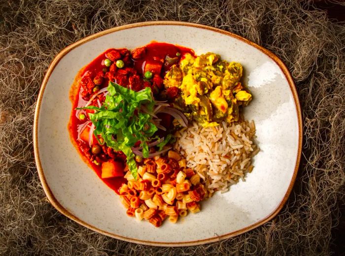 An overhead view of a plate featuring a tomato-based stew, vegetable stew, rice, and pasta.