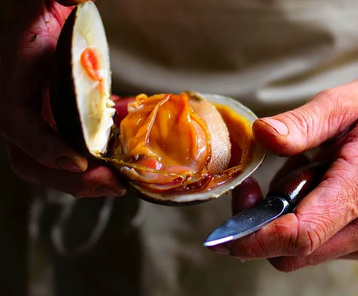 A cook skillfully holds a shucking knife, presenting a freshly opened clam in sharp focus against a dark backdrop.