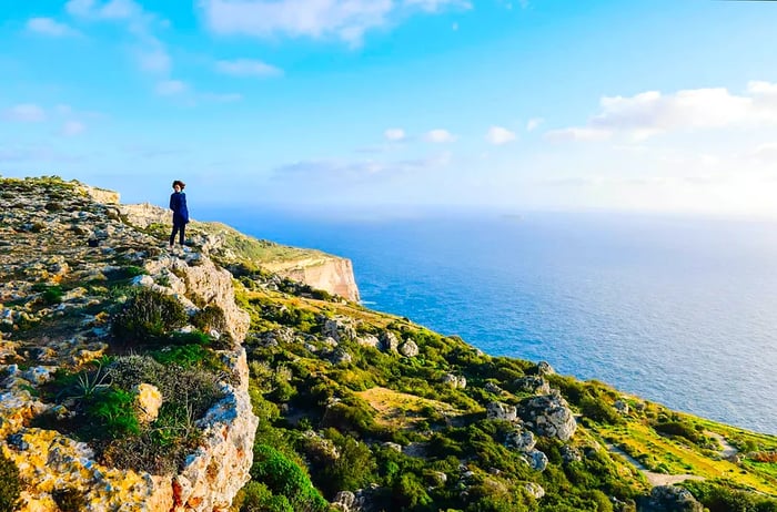 A hiker stands on the lush slopes of Dingli Cliffs, gazing out at the azure Mediterranean Sea in Malta.