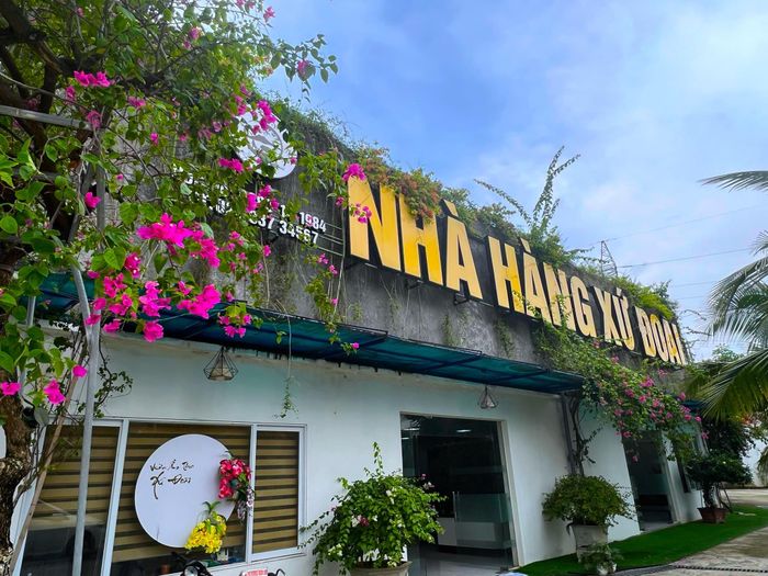 hình ảnh 1