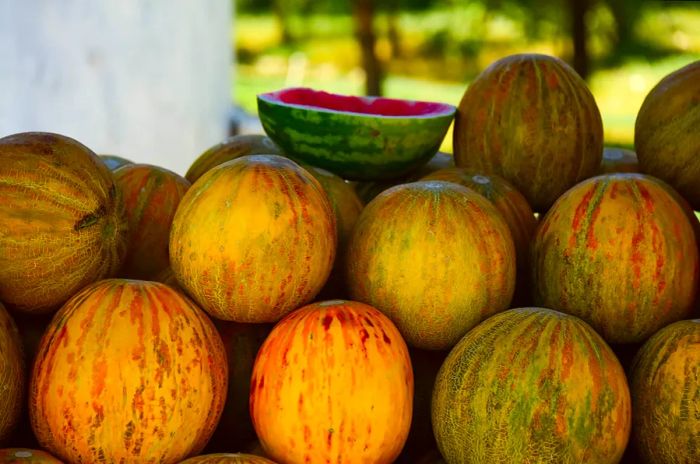 Brightly colored Uzbek melons in orange, yellow, and green available at Chorsu Bazaar in Tashkent, Uzbekistan.