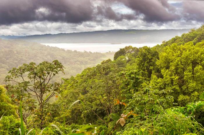 A mist-covered hillside adorned with trees, revealing a stunning view of Laguna de Arenal from Rancho Margot in Costa Rica