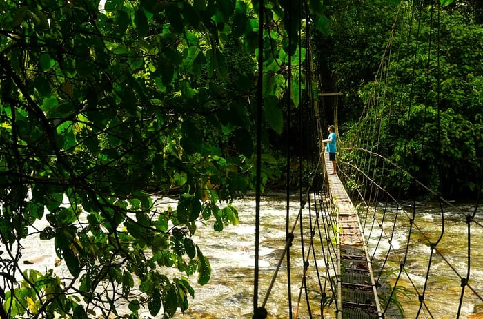 A lone hiker stands on a rope bridge spanning a river in the jungle.