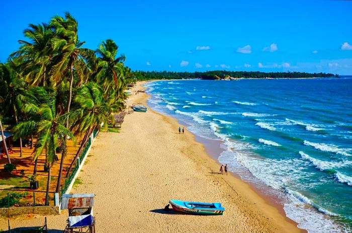 An aerial view captures a serene beach, lined with palm trees and golden sand, where gentle turquoise waves lap at the shore. Two couples stroll along the water's edge, and a small boat rests on the sand in the foreground.