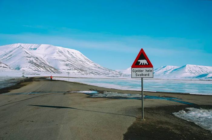 Polar bear warning sign near Longyearbyen, Svalbard, Norway