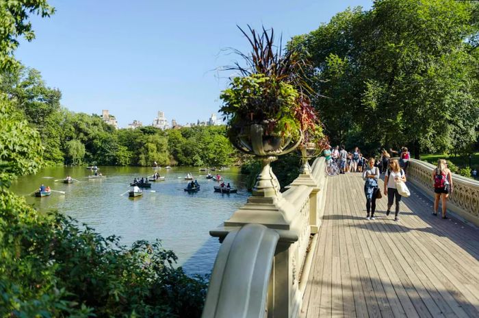 Rowboats dot a lake in Central Park as pedestrians stroll across a nearby bridge