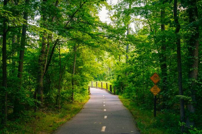 A tranquil tree-lined bike trail in Virginia