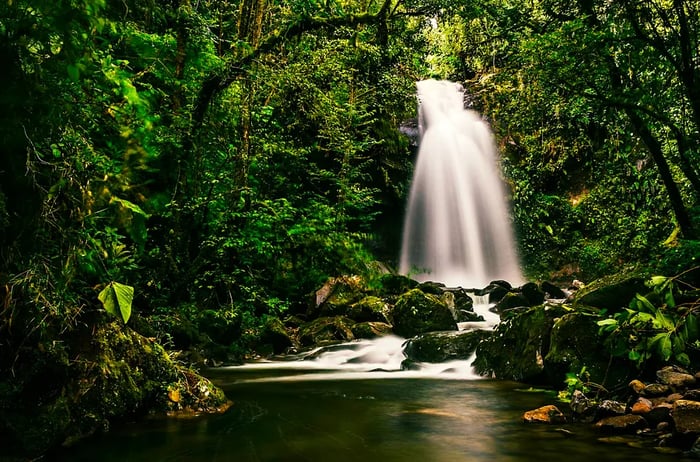 A stunning mountain stream flows through the jungle forests near Boquete, Panama.