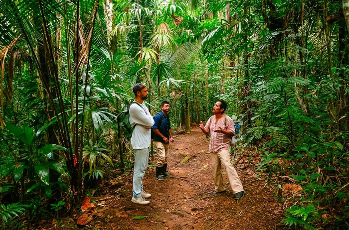 Experience a guided tour of Elijio Panti National Park with a Mayan healer who has extensive knowledge of the local flora.