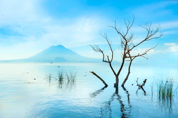 A vast lake framed by tree branches, with a peak visible in the distance.