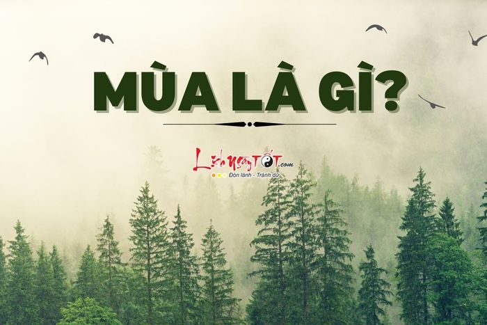 Các mùa trong năm
