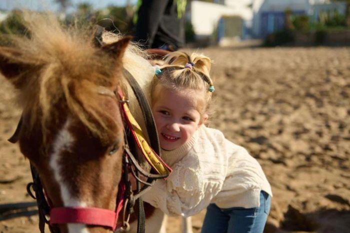 Tập tính của ngựa lùn Pony