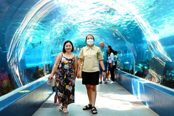 Thủy cung SEA LIFE Bangkok Ocean World
