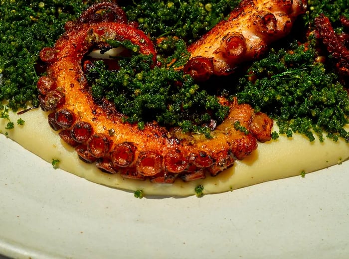 Octopus tentacles nestled atop a bed of fresh greens.