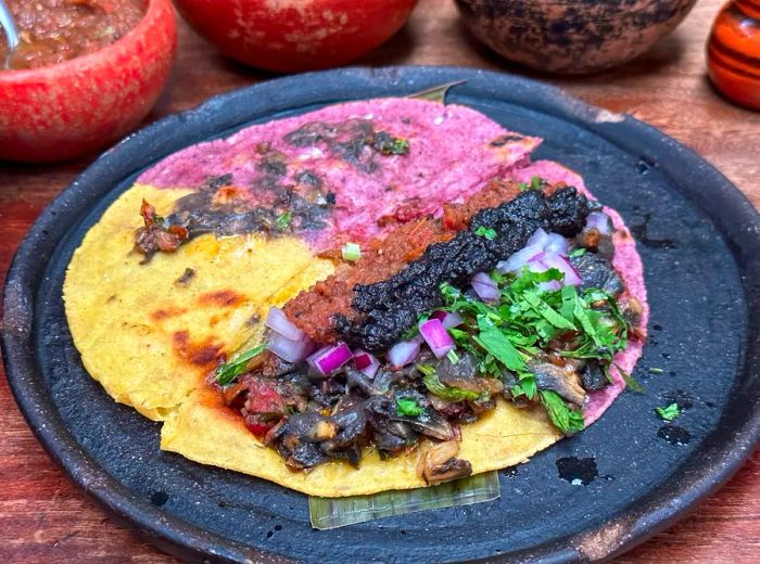 A taco on a yellow and purple tortilla, drizzled with dark ribbons of brown and black sauces over a savory filling.