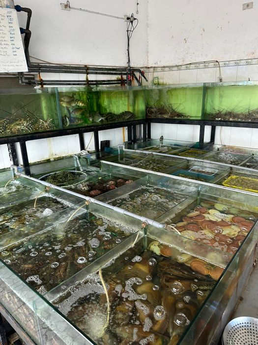 Hải sản Thanh Hiền hình 2