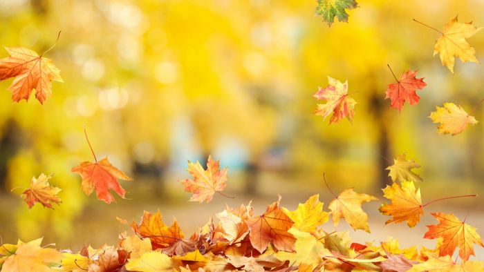 Tiểu thuyết ngược 10