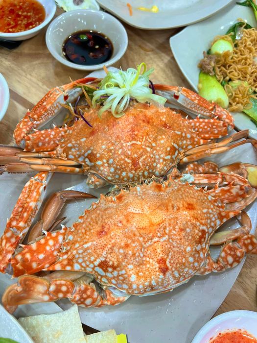 Hải Sản Ty Rô hình 2