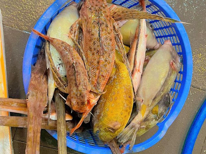 Hình ảnh Hải sản Thành Cá 2