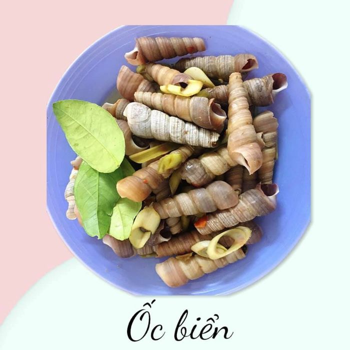 Hình ảnh quán ốc Cô Hà 1