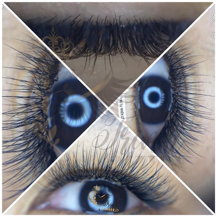 Hình ảnh Trinh Nối Mi