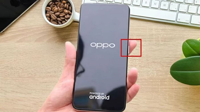 Khôi phục cài đặt gốc cho điện thoại OPPO khi bị treo logo - Bước 1