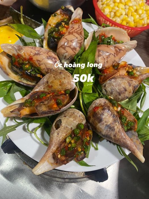 Ảnh 2 của Ốc Hoàng Long