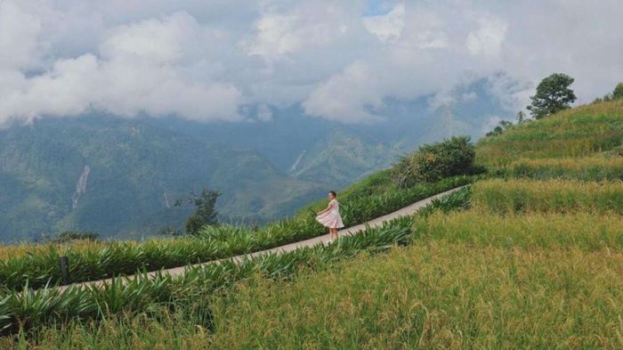 Sapa ở đâu?