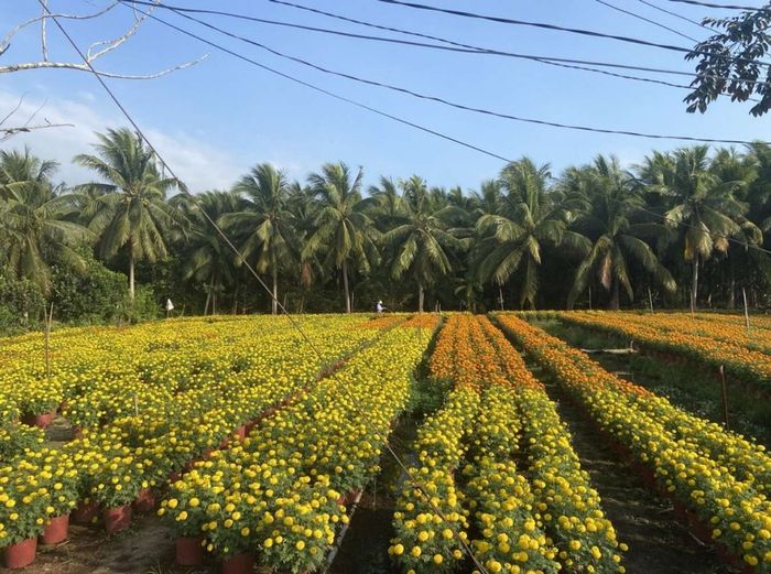 Khí hậu Bến Tre