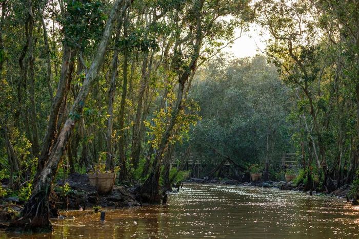 Công viên quốc gia U Minh Hạ