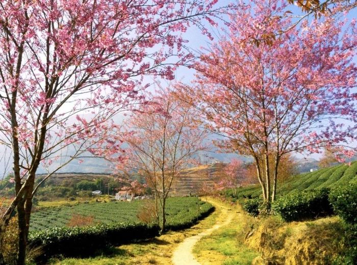 Đặc điểm địa lý của Lào Cai