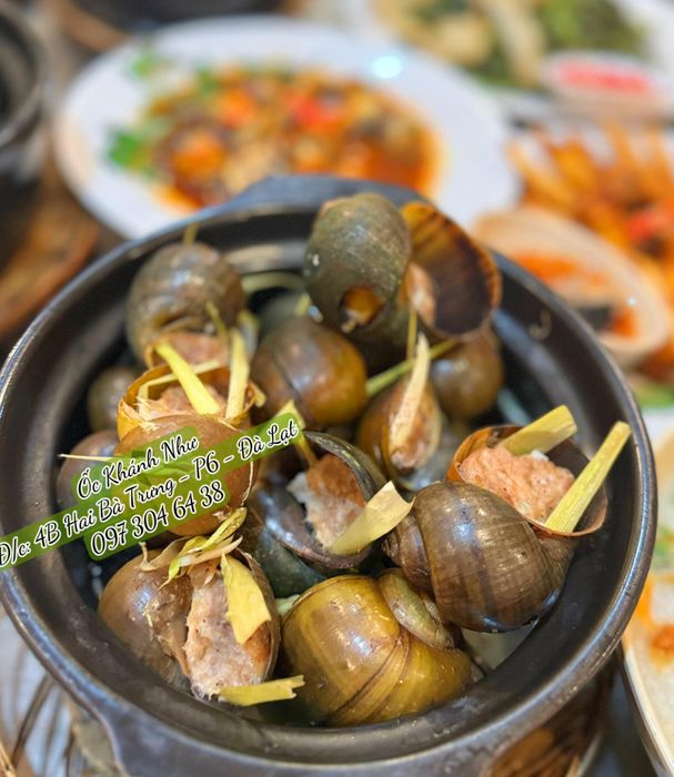 Ảnh 1 của Ốc Khánh Như