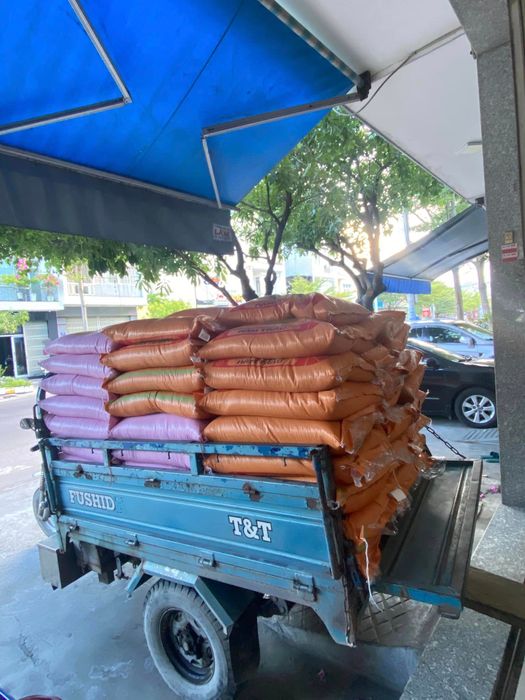 Hình ảnh Gạo Huệ Quy Nhơn 2