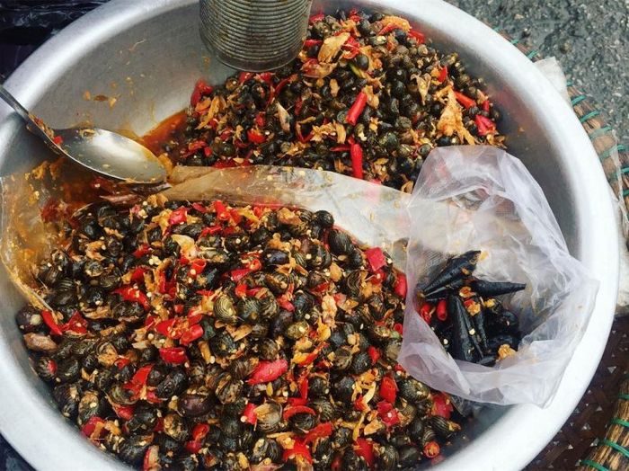 Hình ảnh Ốc Hút Oanh 1