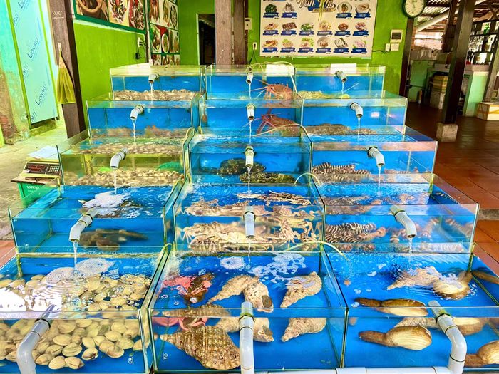 Hình ảnh Nhà hàng hải sản Vân Phi 1