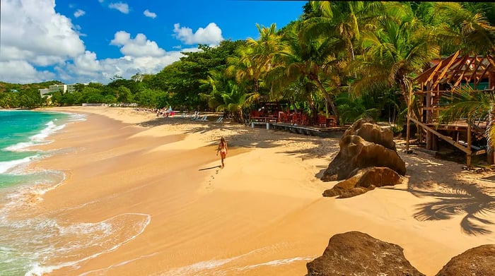 Stunning View of Grand Anse Beach in Grenada