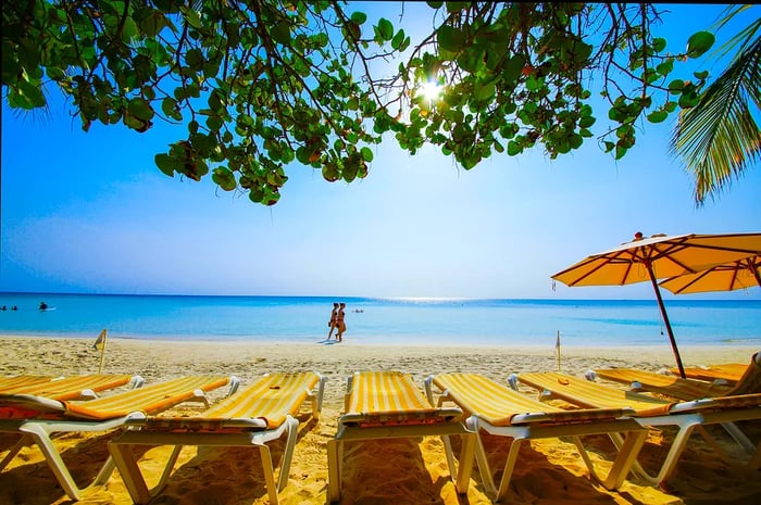 A row of yellow and white striped beach chairs lined up under the sun on a beautiful day