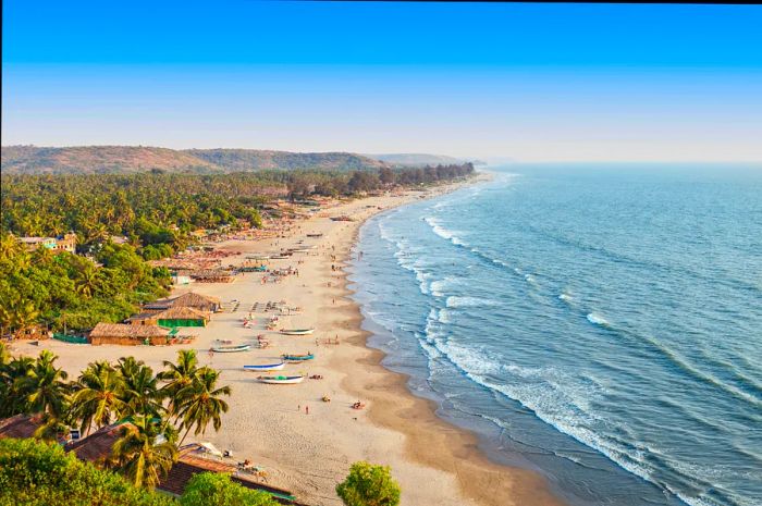 Aerial view of Arambol beach.