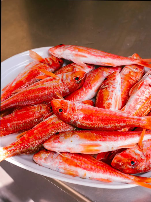 The seafood offerings change daily based on the fishermen's catch.