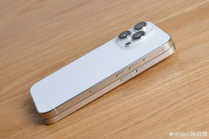 vivo X200 Pro mini (bên dưới) có kích thước tương đương với iPhone 16 Pro.