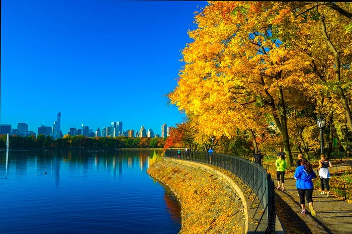 Several runners make their way along a path next to the Jacqueline Kennedy Onassis Reservoir in Central Park, New York. The trees lining the path are a vibrant golden yellow, signaling fall.