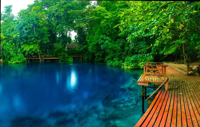 A large, deep blue natural swimming pool featuring wooden decking on one side