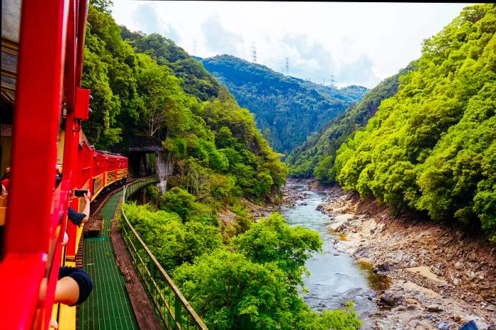 Experience the beauty of the Sagano Romantic Train along the Katsura River near Kyoto, Japan.