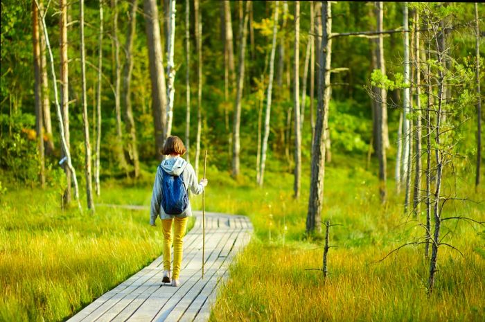 A girl treks along a wooden boardwalk through Lithuania's forests