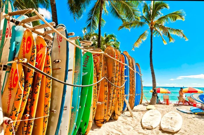 A row of surfboards lined up at the iconic Waikiki Beach in Honolulu, Hawaii