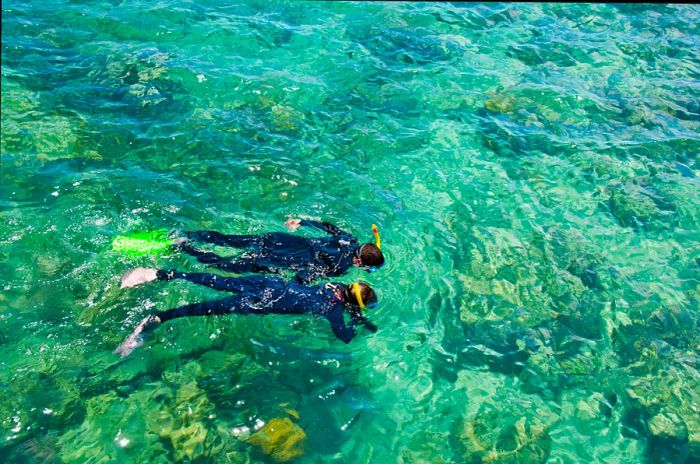 Snorkelers enjoying the Great Barrier Reef, Australia