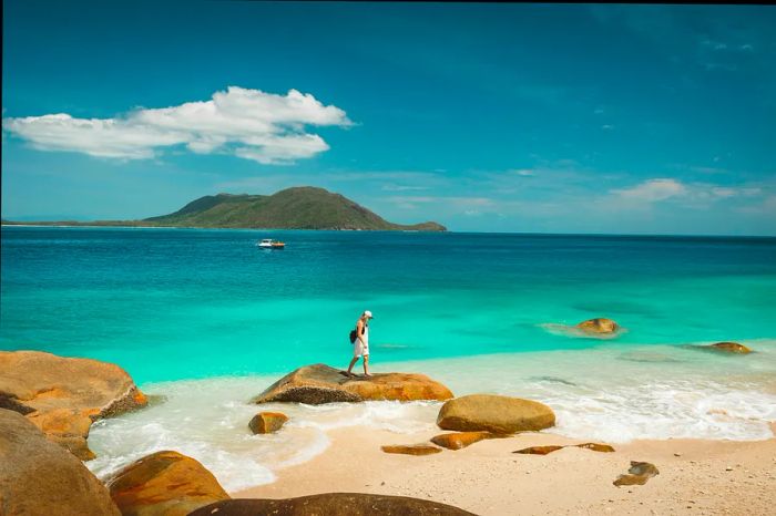 Nudey Beach on Fitzroy Island near Cairns in Queensland, Australia